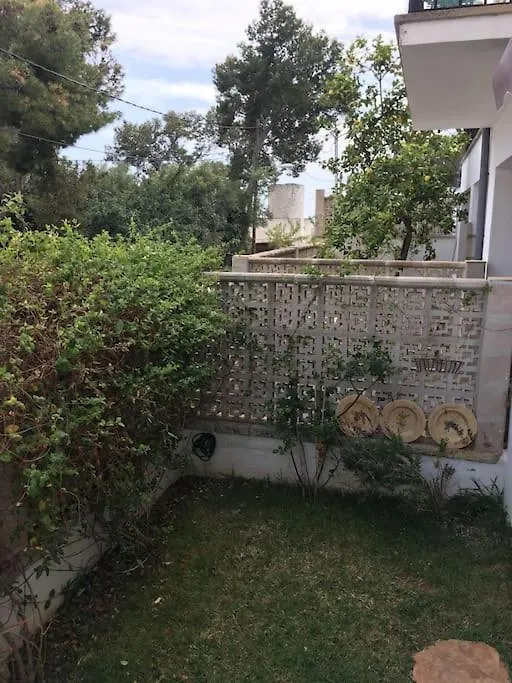 Casita Limon Villa Palma de Mallorca Spain